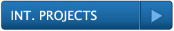 IB Consulting and Technologies - Our Projects